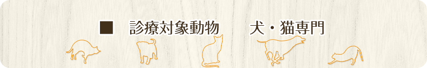 診療対象動物　犬・猫専門