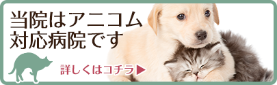 当院はアニコム対応病院です。アニコム損害保険株式会社はこちら