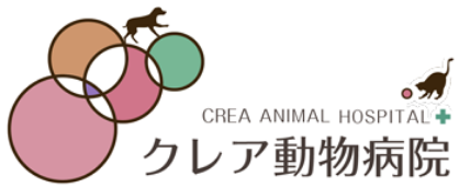 東京都立川市の動物病院 │ クレア動物病院